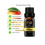 Mango Kokulu Buhurdanlık Kokusu,Uçucu Yağ, Buhurdanlık Yağı 10 ml.